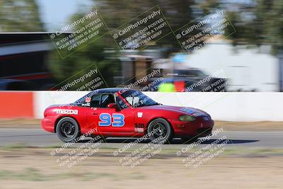 media/Oct-14-2023-CalClub SCCA (Sat) [[0628d965ec]]/Group 4/Race/